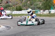 20110501_ales_agnus (3433)